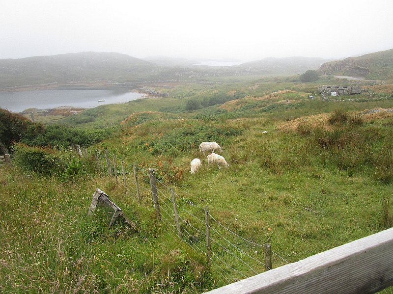 2018.07.10 bei Ron an der Nordwestkueste (2021).JPG